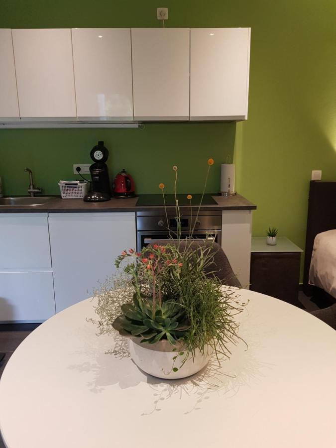 Appartamento Touristflat Dewulf Gand Esterno foto